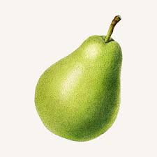 Fruit - Pear