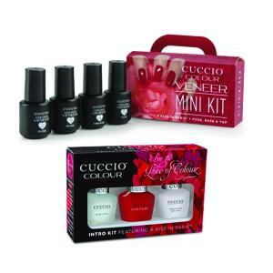 A Kiss In Paris + Veneer Mini Kit