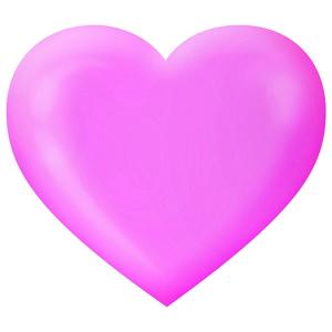 Kyoto Cherry Blossoms