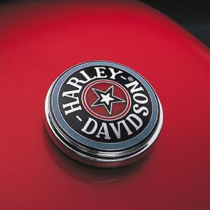 Gas cap. medallion. Cloisonne