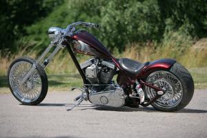 Axelmount license plate.Diamond LED