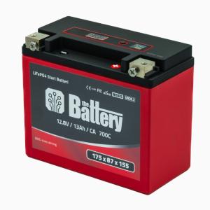 The Battery 20L-BS-BMS