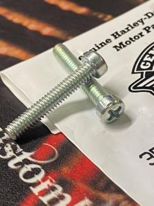 Screw