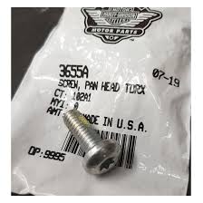 Screw pan head torx