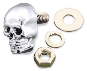 Skull. Chrome