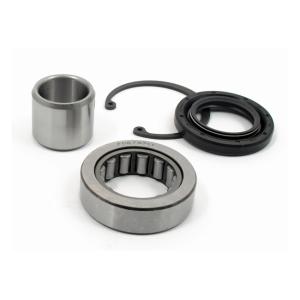Inner primary bearing and seal kit