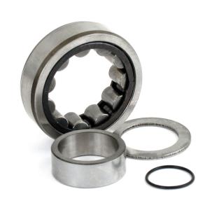 CAMSHAFT ROLLER BEARING. OUTER, REAR