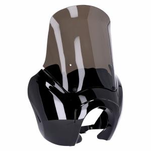 Headlamp fairing. Gloss black. Tinted windshield