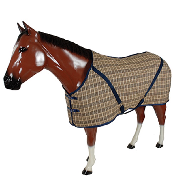 Bengal summer blanket