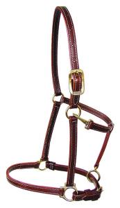 Walsh Track leather halter