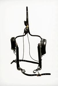 Pull Down Kant See Back Blinds Racing Tack