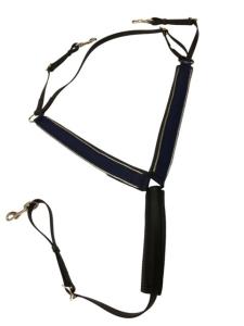 Buxton Breast collar Custom with beta straps