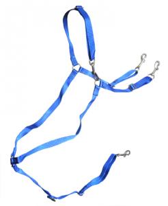 Buxton Breast Collar Walsh