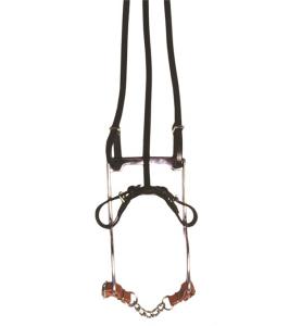 Checkbett Frank o Mara