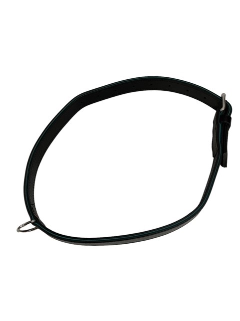 Leather Collar for transportation