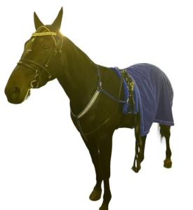 Fleece Cooler small with lining.