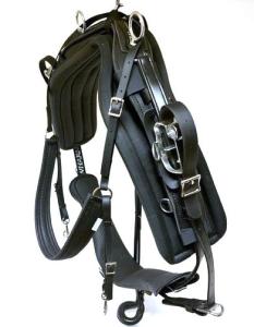 Harness Kit RW Twisted