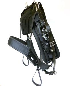 RW Twisted harness for training