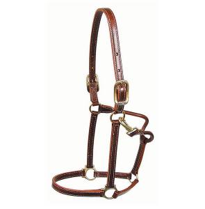 Walsh Showman leather halter