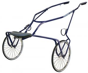 Custom Speedster II