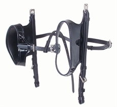 Synthetic Telescope Blinds Walsh