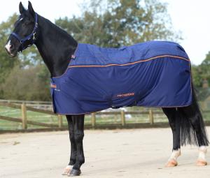 Bucas Therapy Turnout