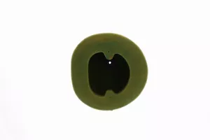 150219X Twin Air Luftfilter