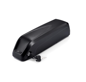 Batteri 19,6Ah Delight