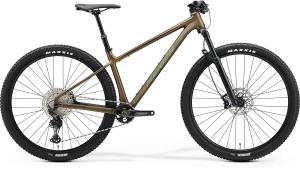 Big.Nine TR Limited Silk Sparkling Gold/Green/Black
