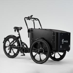 CARGOBIKE DeLight