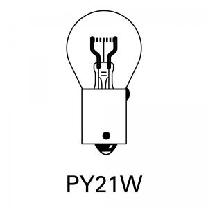PY21W Indicator