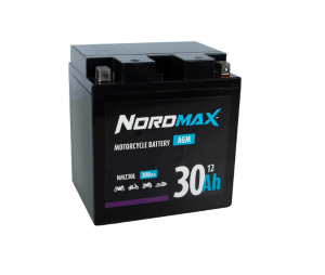 AGM NMZ30L Startbatteri Motorcykel 12V 30Ah L166mm x B125mm x H175mm