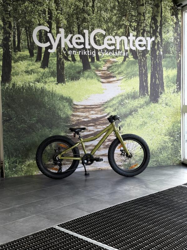 Scott Roxter 20"