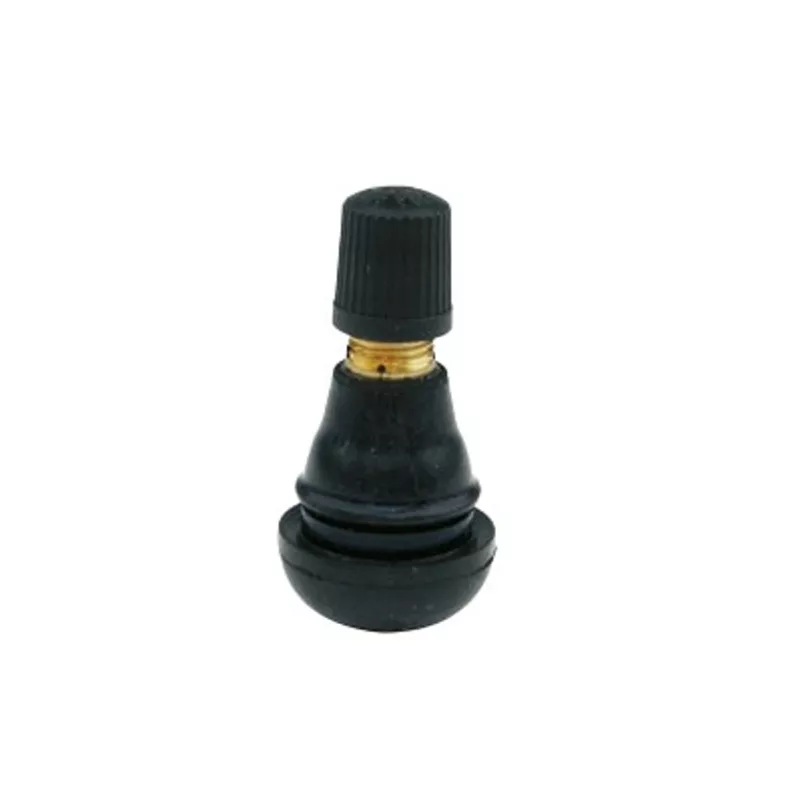 Ventil Tubeless