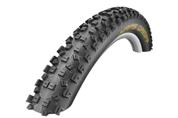 Schwalbe Hans Dampf 60-622 SS TL-Easy