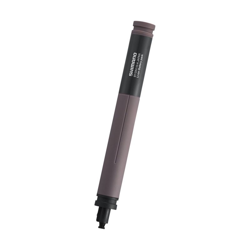 Batteri Internt för sadelstolpe BT-DN110-A
