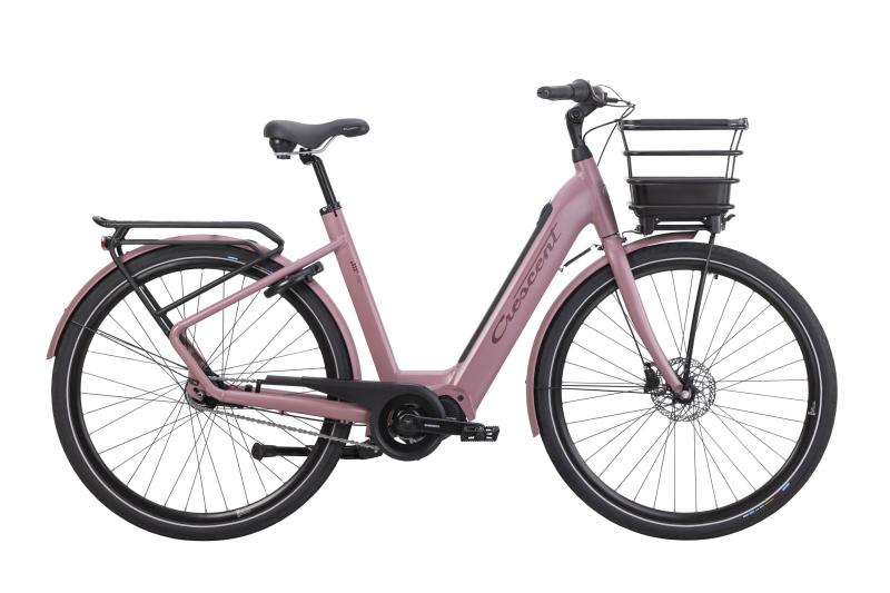 Crescent Elody 2026 Chianti Bordeaux | 51cm |