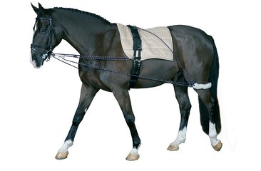 Longeringssystem "Horse Guard"