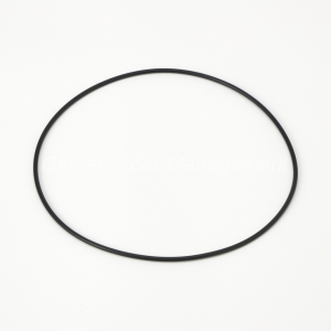 O-RING