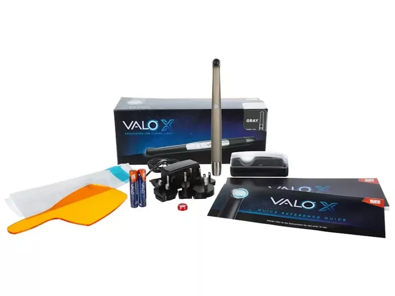 VALO X LED Curing Light Kit Stardust Gray
