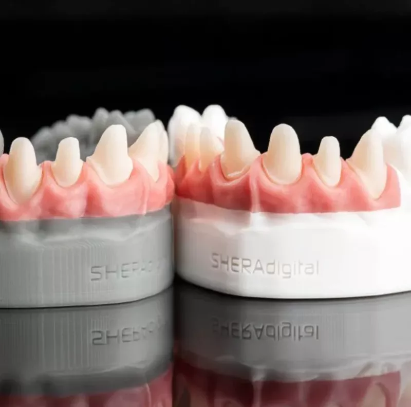 SHERAprint Gingiva 2.0, 500g
