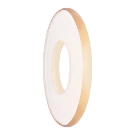 Back Scatter Shield