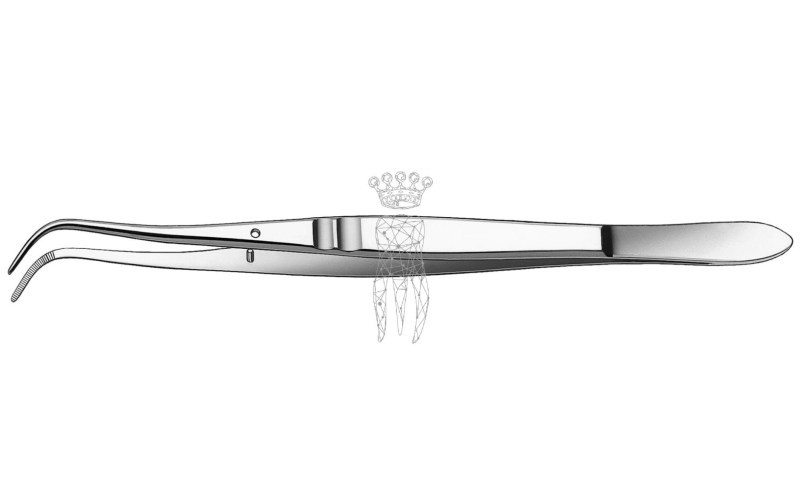 Pincette Amsterdam Set 6st