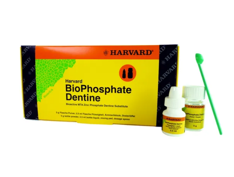 Harvard BioPhosphate Dentine Universal