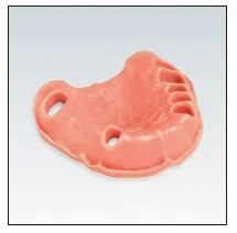 Frasaco Modell Gingiva ÖK 101