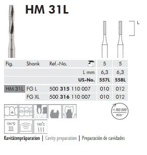 FG HM Fissur 31 L 010 5st