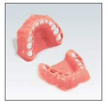Frasaco Modell Gingiva ÖK Barn