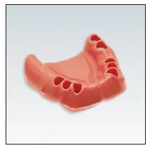 Frasaco Modell Gingiva UK 229