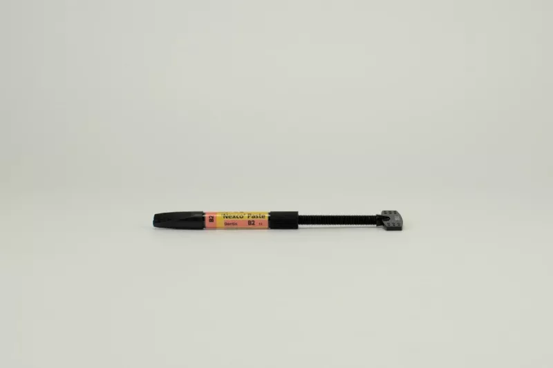 SR Nexco Pasta Dentin B2 Spr 2,5g