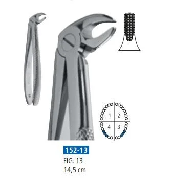 Extraktionstång 13 UK premolar